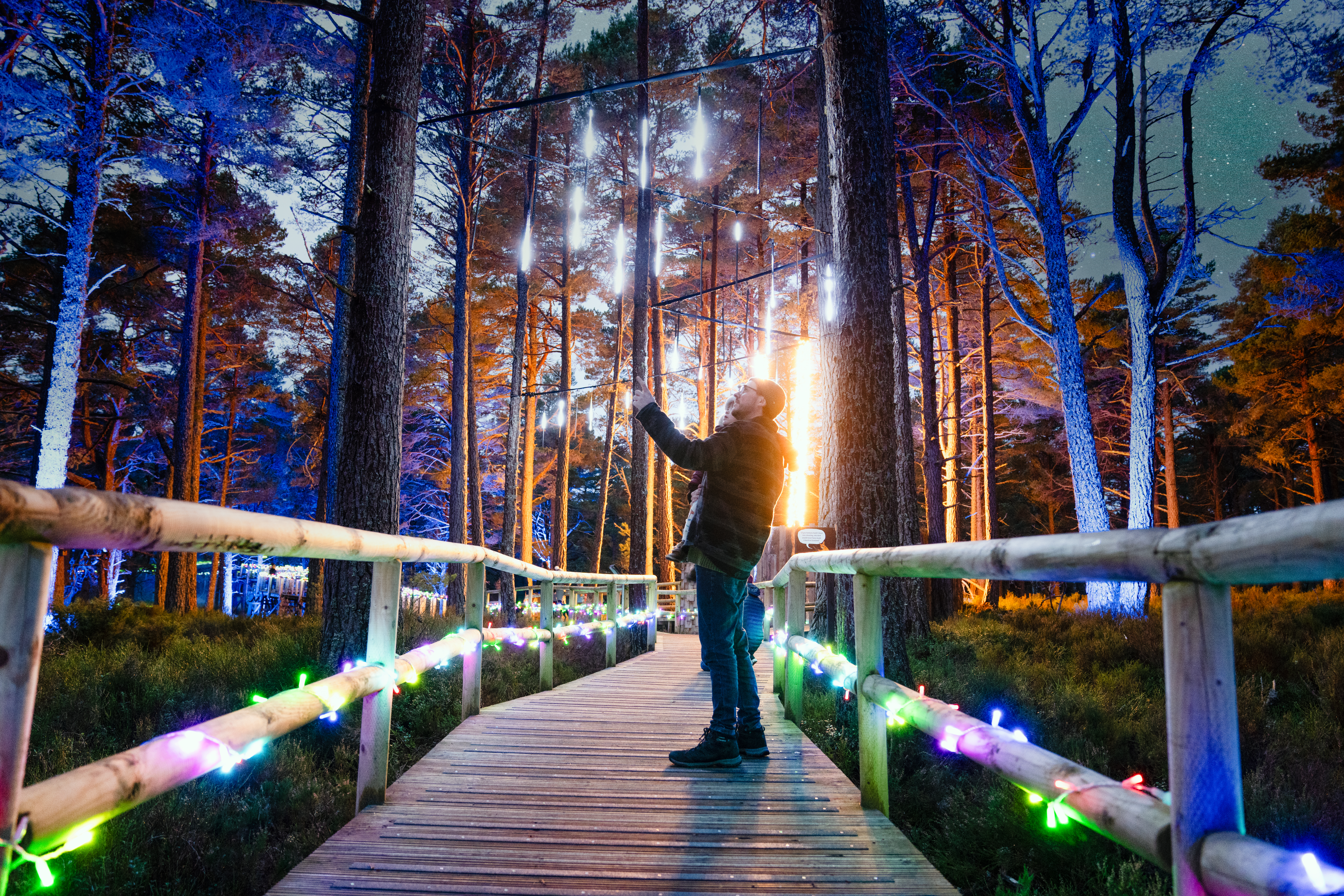 Cairngorms forest adventure park announces return of winter glow-up