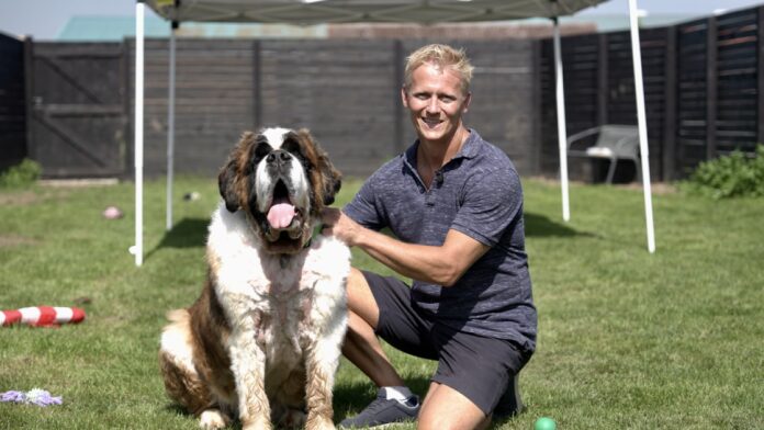Blind St Bernard dog finds forever home after social media campaign