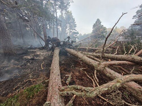 Locals to their say on Cairngorms wildfire response at public meeting