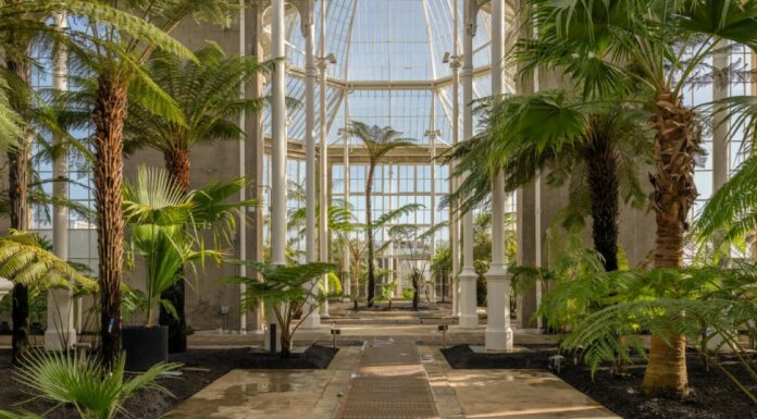 Edinburgh’s historic Palm Houses reopen today after £23.5m restoration