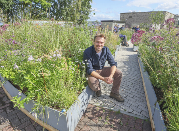 Garden where the King landed his TARDIS finds a home by the Clyde
