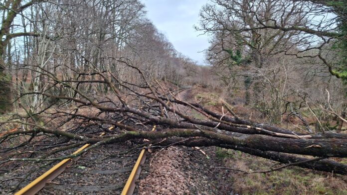 Man dies and two women injured by falling trees as Storm Boelo hits Scotland