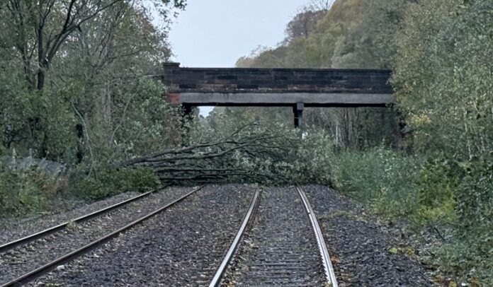 Storm Boelo batters Scotland as 82mph winds, flooding and fallen trees cause travel chaos