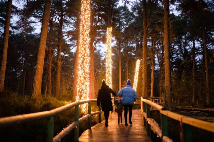 Seven dark sky experiences to discover at the Cairngorms National Park this autumn