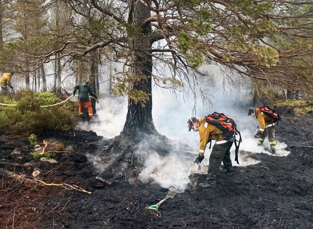 Support for Highland businesses impacted by the Cairngorms wildfire